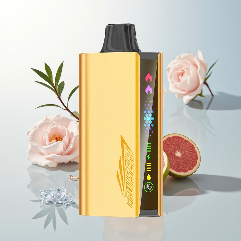 JNR Cruiser 12000 Pufova No-Charge Jednokratna Vape Blackberry Ice 3500 mAh Dual Mesh Coil