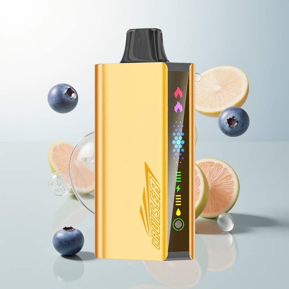 JNR Cruiser 12000 Pufova Normal/Boost Jednokratna Vape Borovnica Eksplozija Dual Mesh Coil