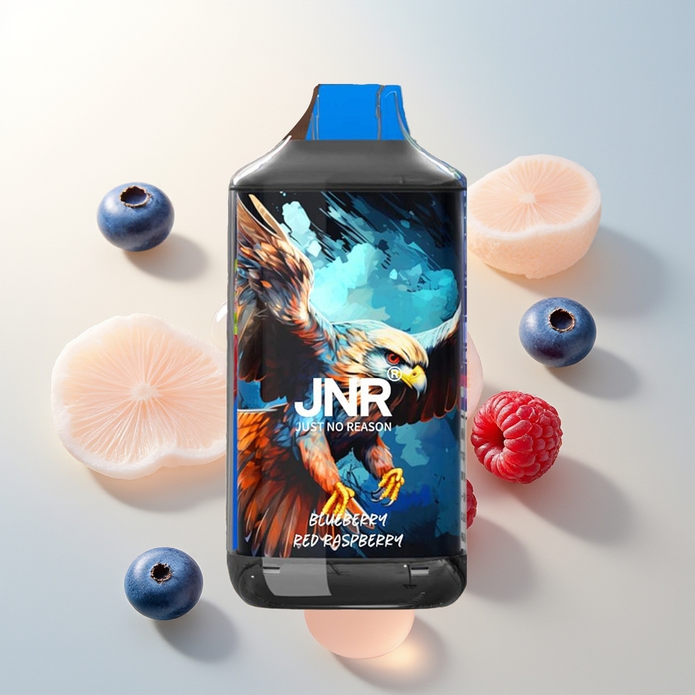 JNR Falcon 16000 Puffs Jednokratna Vape Borovnica Crvena Malina 850 mAh Dual Mesh Coil