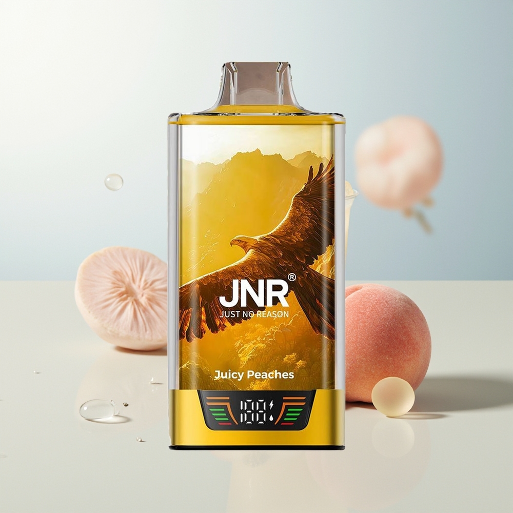 JNR Falcon Pro 28000 28000 Puffs Juicy Peaches MTL 5 Nicotine