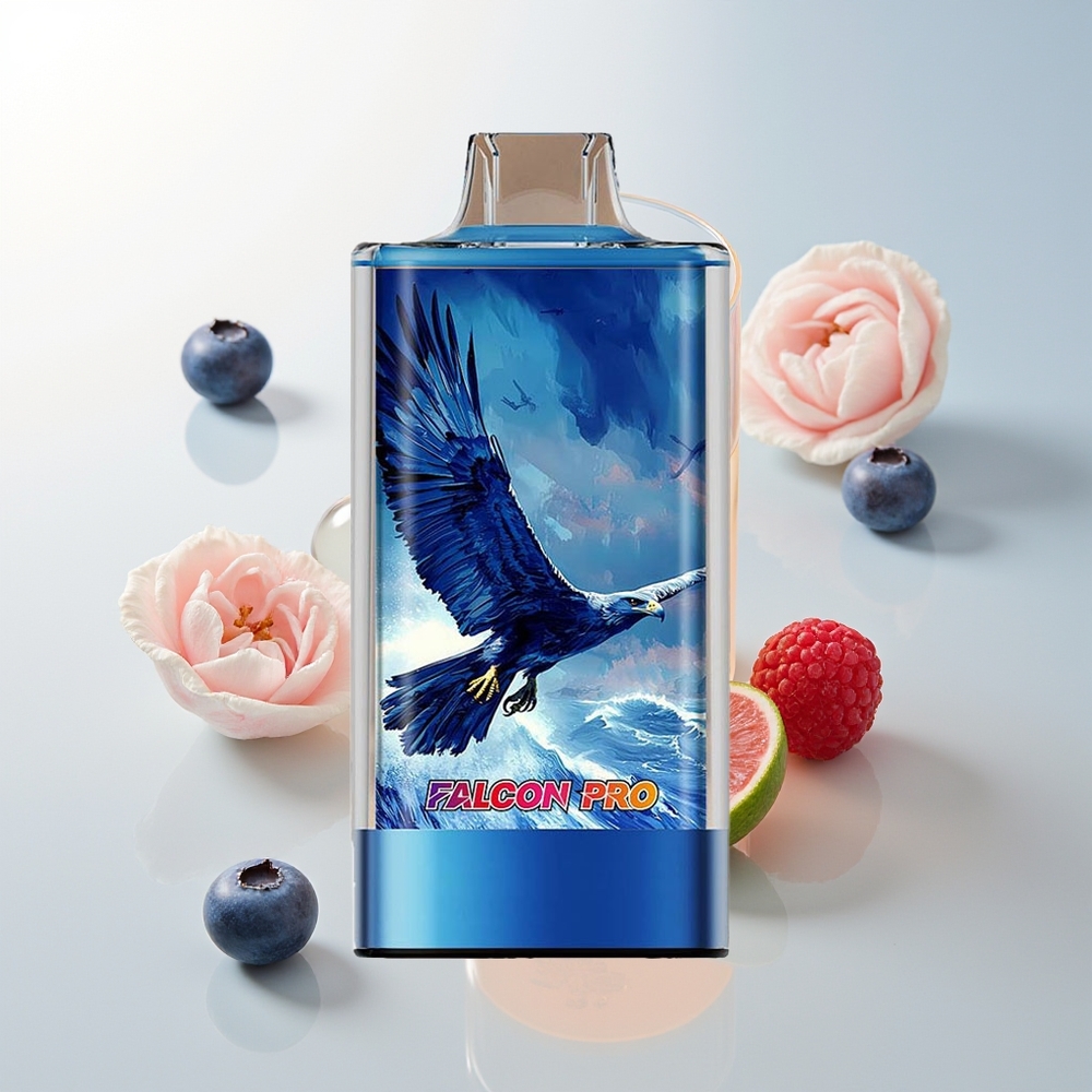JNR Falcon Pro 28000 28000 Puffs USB Type-C Borovnica Kisela Malina