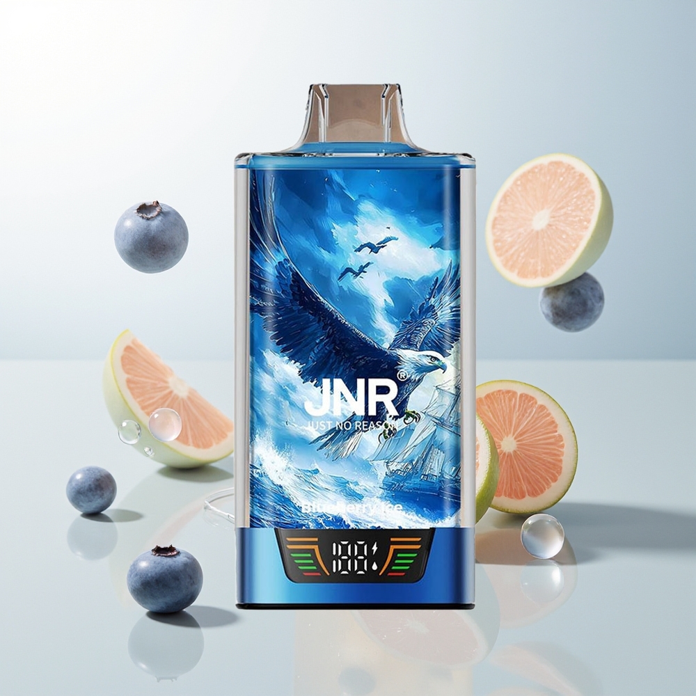 JNR Falcon Pro 28000 Puhača 30ml Borovnica Led USB Type-C