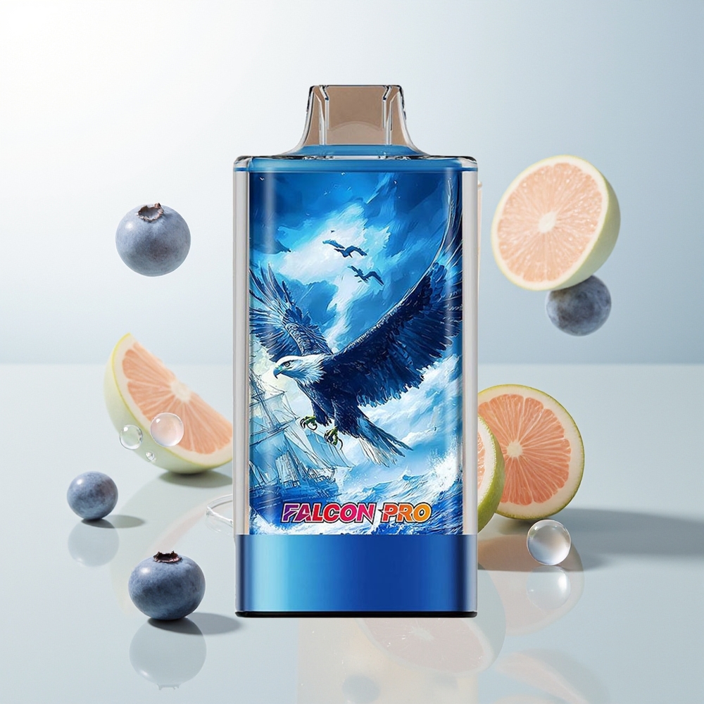 JNR Falcon Pro 28000 Puhača 30ml Borovnica Led USB Type-C