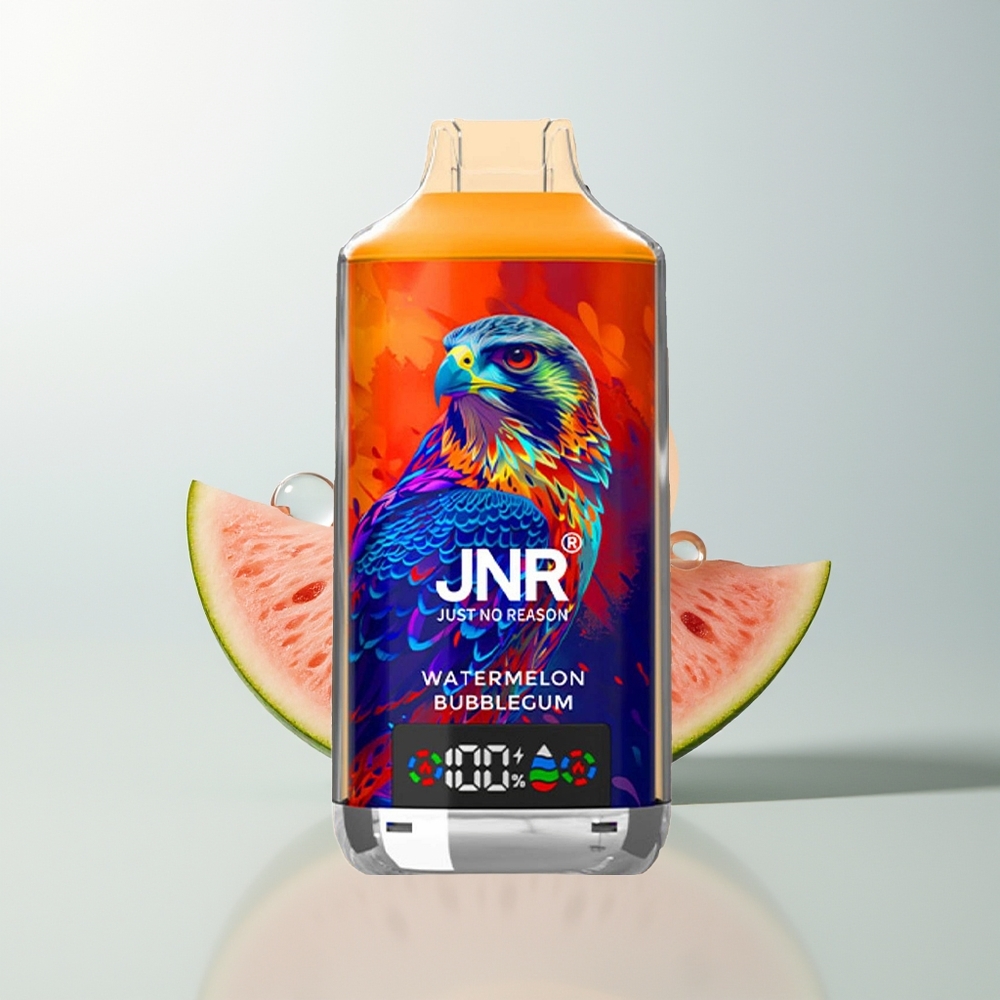 JNR Falcon X 18000 Puffs Dual Mesh Lubenica Bubblegum