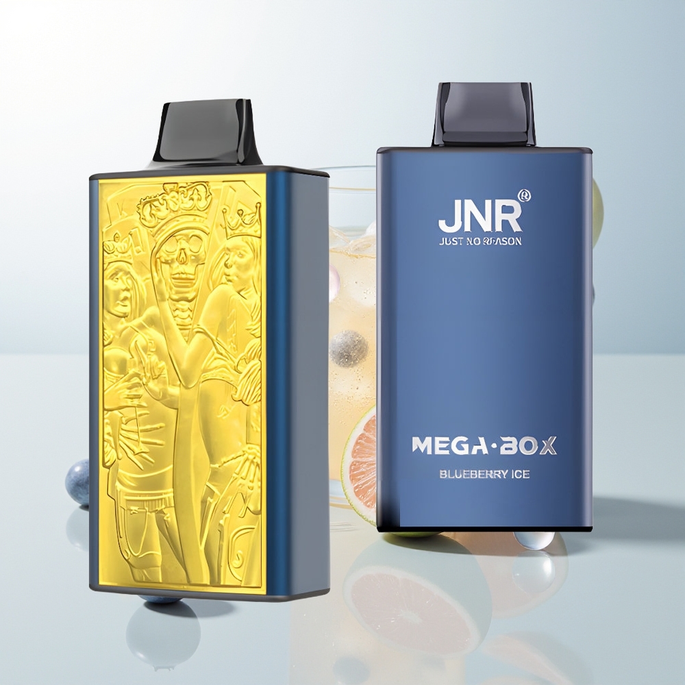 JNR Mega Box 25000 Pufova Jednokratna Vape Borovnica Led 30ml Dual Mesh Coil