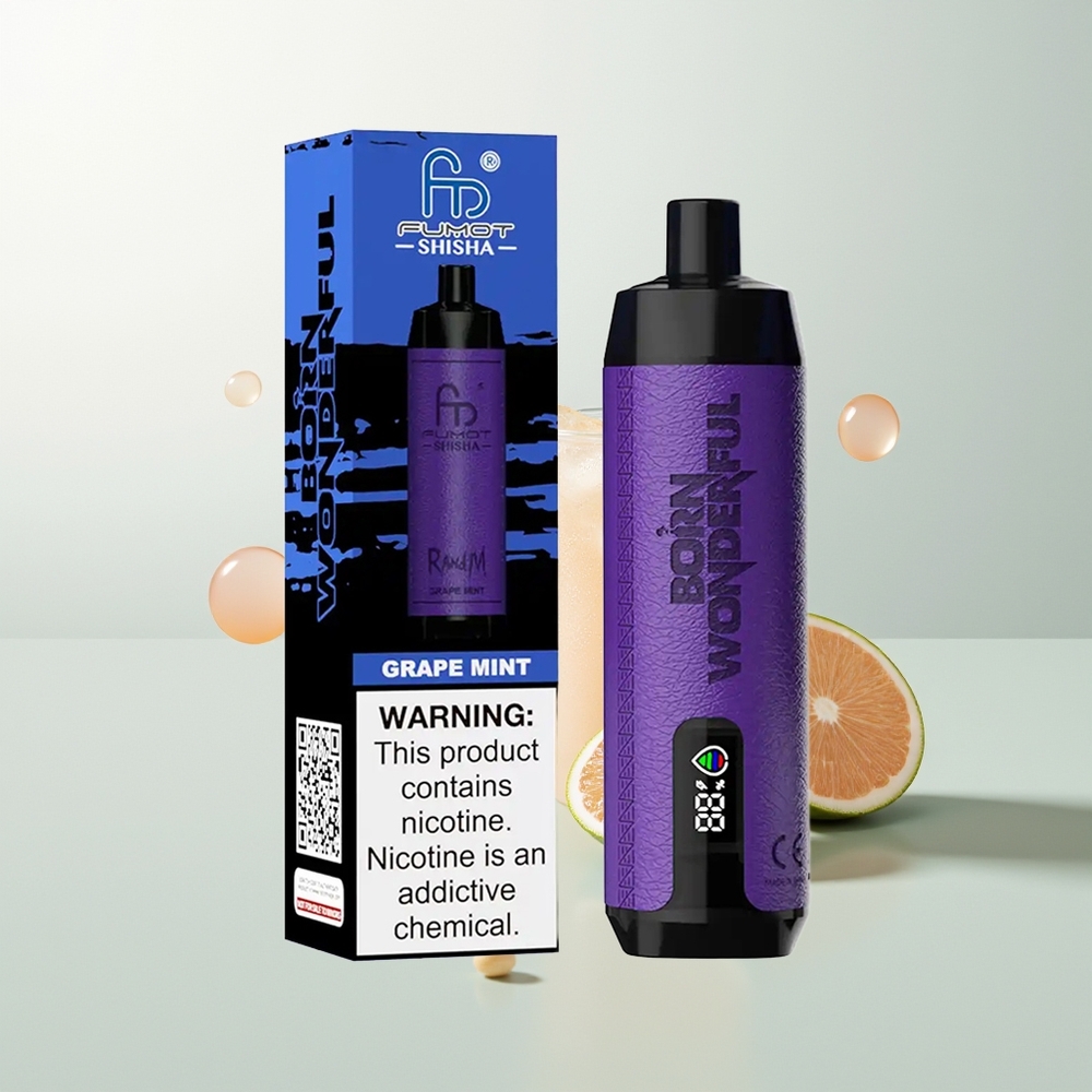 RandM Fumot Shisha 10000 Puffova Jednokratna Vape Groždica Meta LED Indikator Type-C