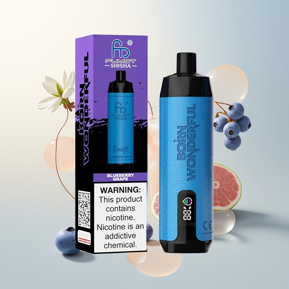 RandM Fumot Shisha 10000 Puffs Jednokratna Vape Borovnica Grožđe 18ml Type-C