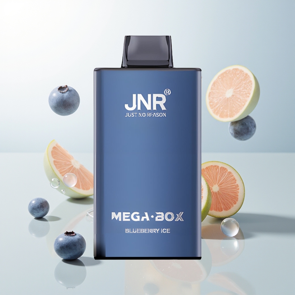 JNR Mega Box 25000 Pufova Jednokratna Vape Borovnica Led 30ml Dual Mesh Coil